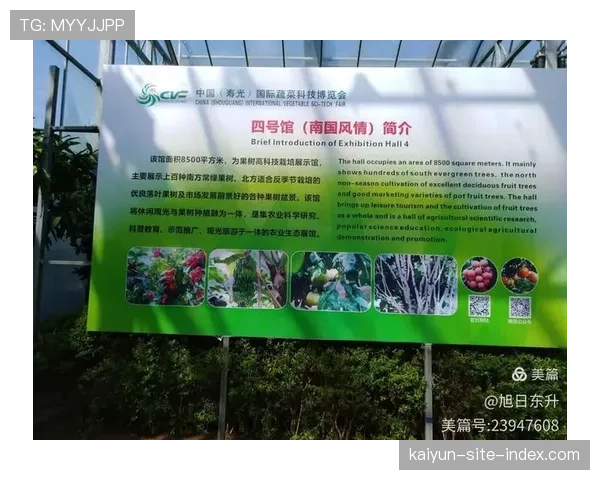 反季节旅游产品推广 利用南北气候差异平衡市场